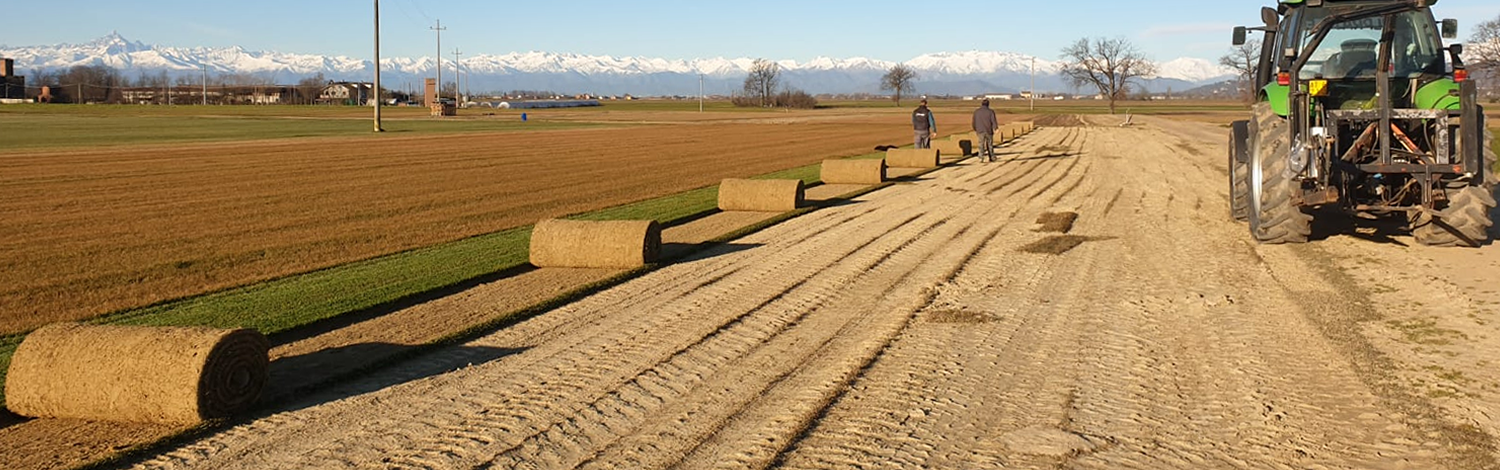 Prato a Rotoli Produzione Big Roll